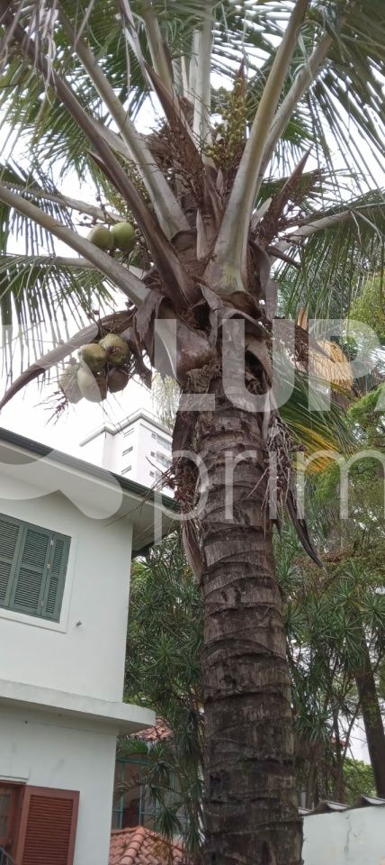 sobrado-venda-sao-paulo-agua-fria-3dormitorios-1suite-2vagas-280m2-LS42320