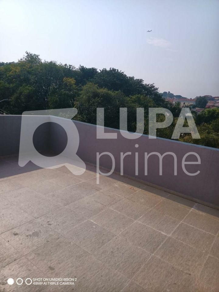 apartamento-venda-sao-paulo-bortolandia-2dormitorios-33m2-LS42346