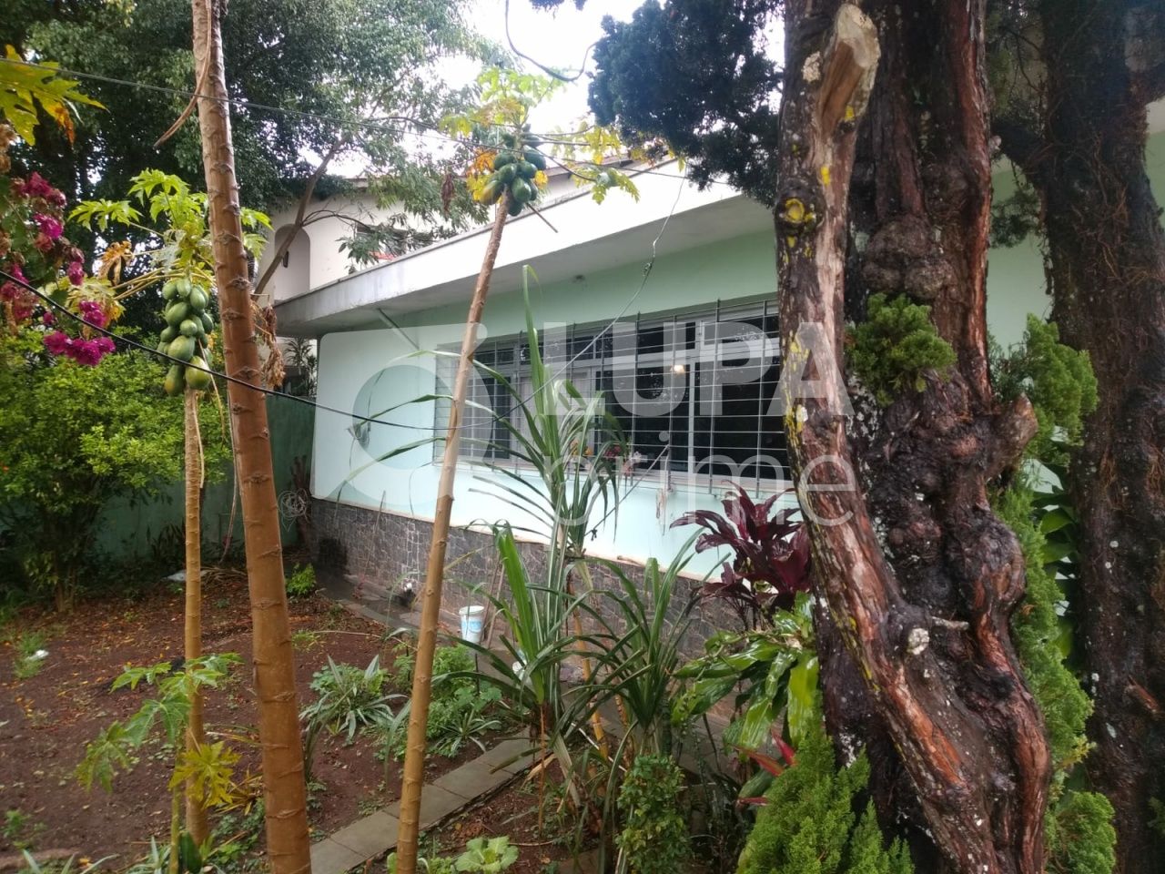 casa-terrea-venda-sao-paulo-tucuruvi-3dormitorios-1suite-3vagas-600m2-LS42411