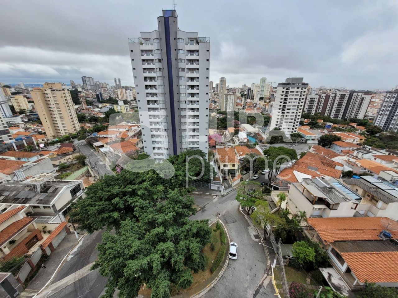 apartamento-locacao-sao-paulo-vila-pauliceia-3dormitorios-1suite-2vagas-120m2-LS42473