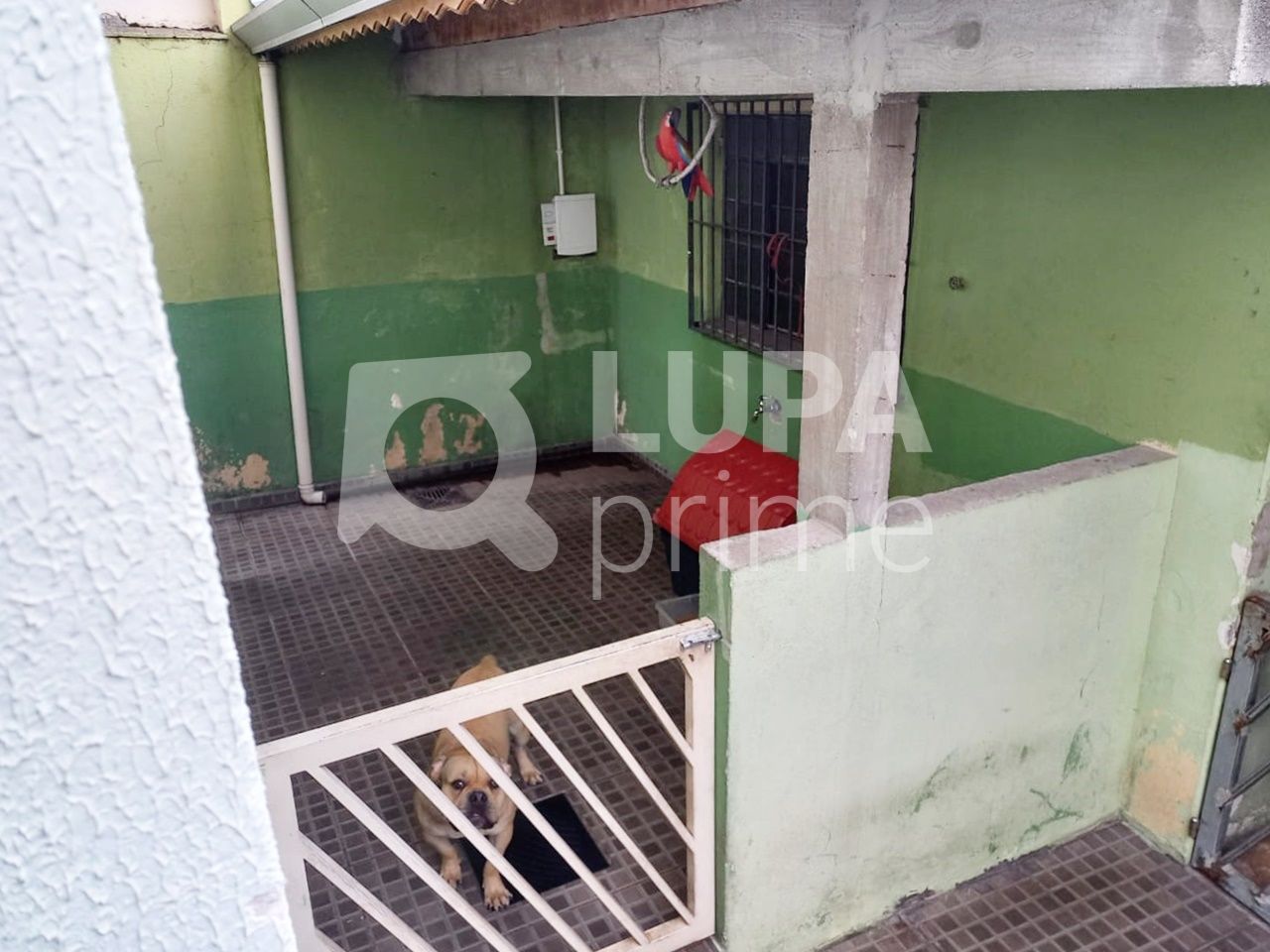 sobrado-venda-sao-paulo-nossa-senhora-do-o-4dormitorios-2suites-3vagas-310m2-LS42476