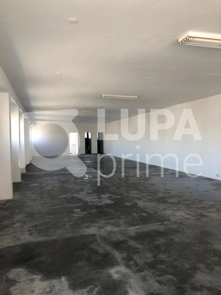 predio-locacao-sao-paulo-conjunto-residencial-jardim-canaa-15vagas-420m2-LS42503