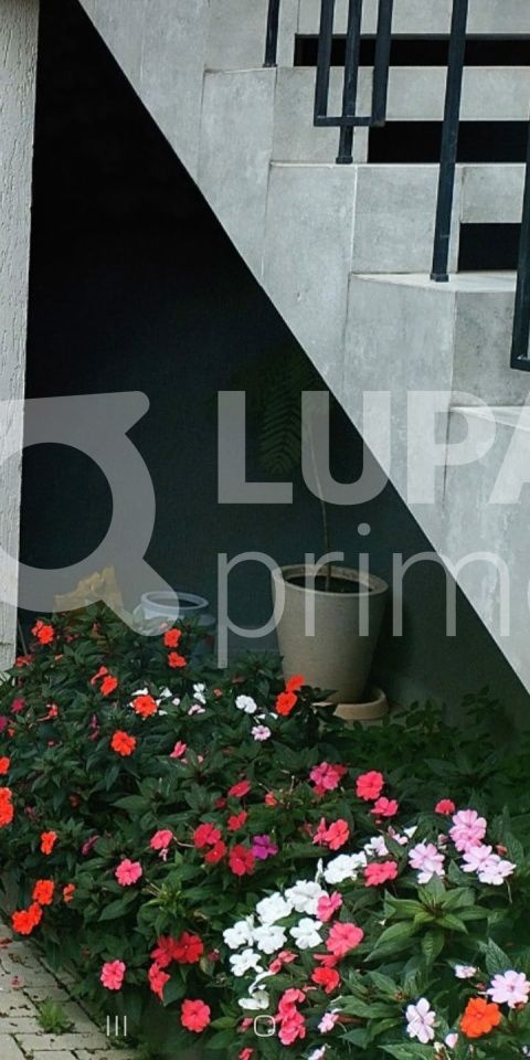 sobrado-venda-sao-paulo-jardim-sao-paulo-3dormitorios-1suite-5vagas-189m2-LS42536