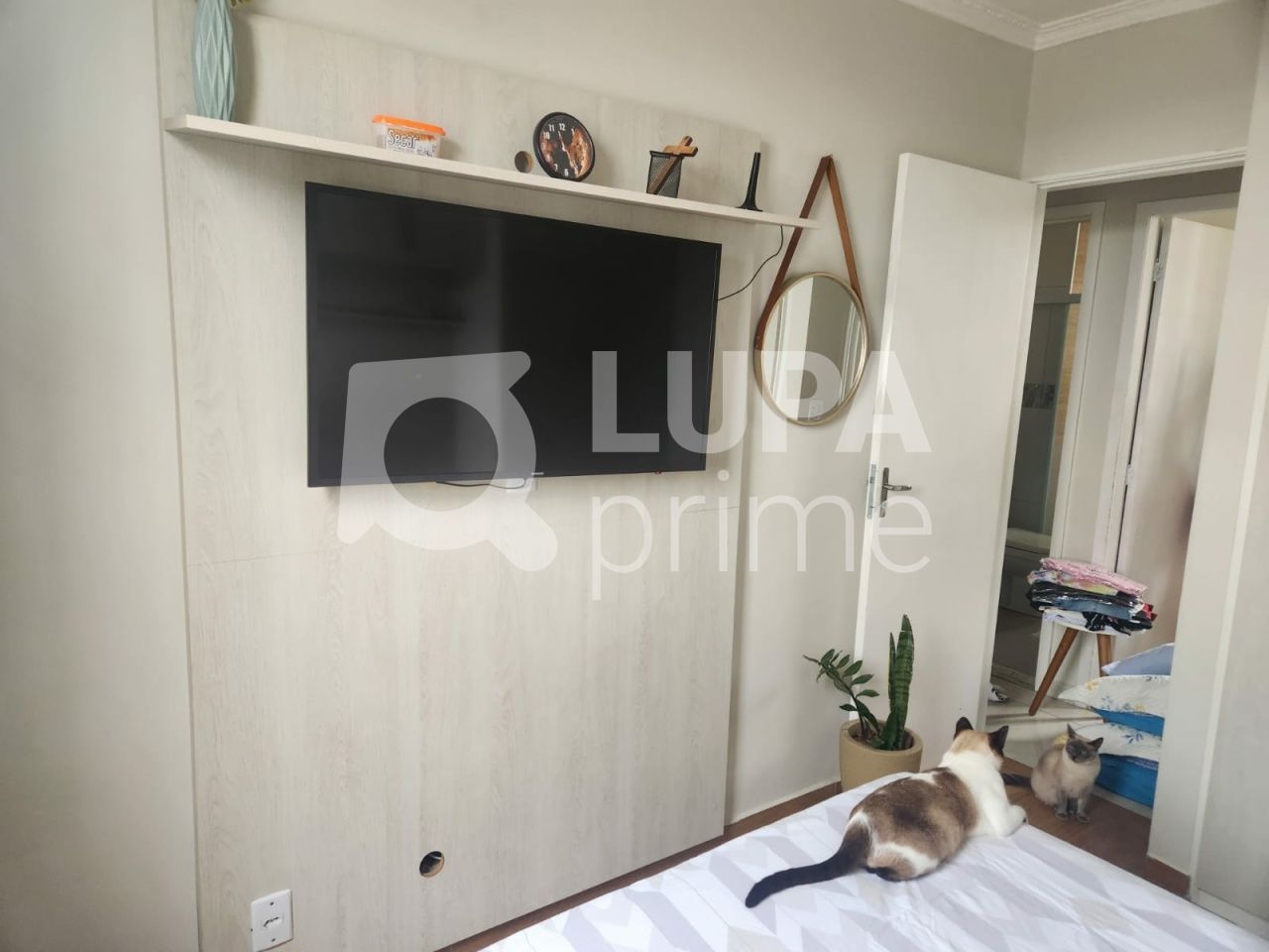 apartamento-venda-sao-paulo-vila-nova-cachoeirinha-2dormitorios-1vaga-64m2-LS42600