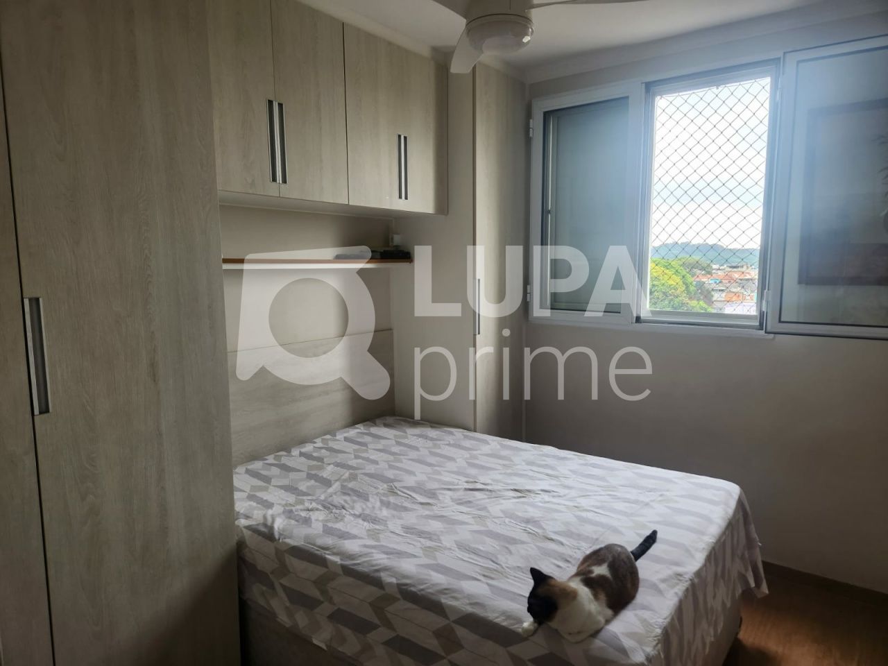 apartamento-venda-sao-paulo-vila-nova-cachoeirinha-2dormitorios-1vaga-64m2-LS42600