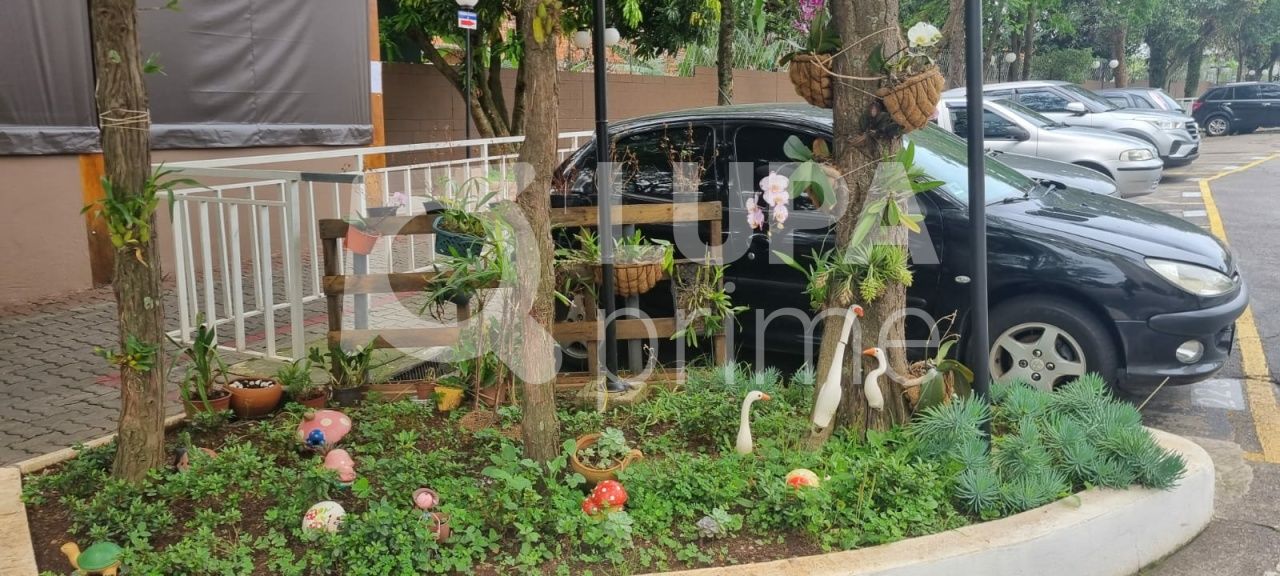 apartamento-venda-sao-paulo-vila-nova-cachoeirinha-2dormitorios-1vaga-64m2-LS42600