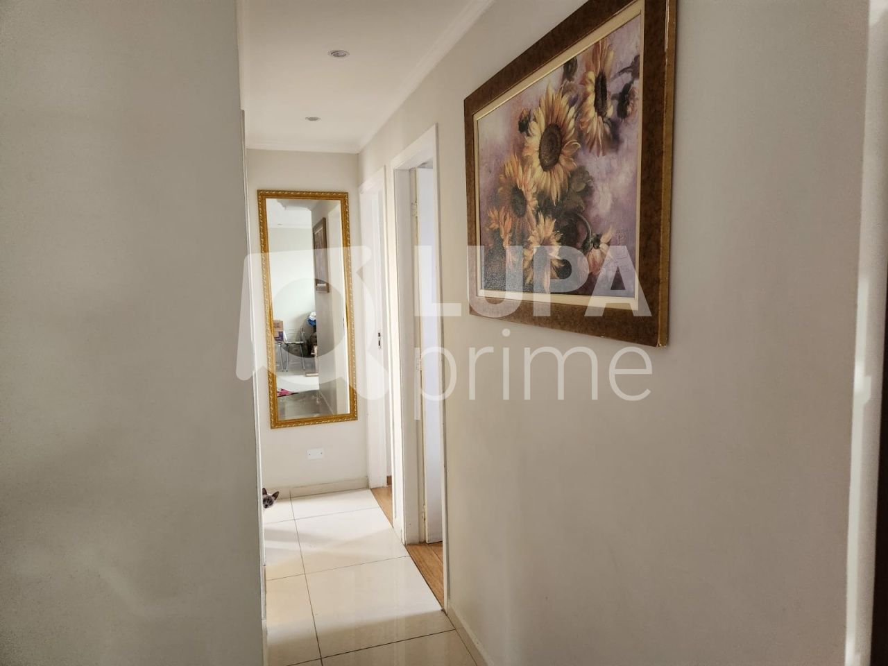 apartamento-venda-sao-paulo-vila-nova-cachoeirinha-2dormitorios-1vaga-64m2-LS42600