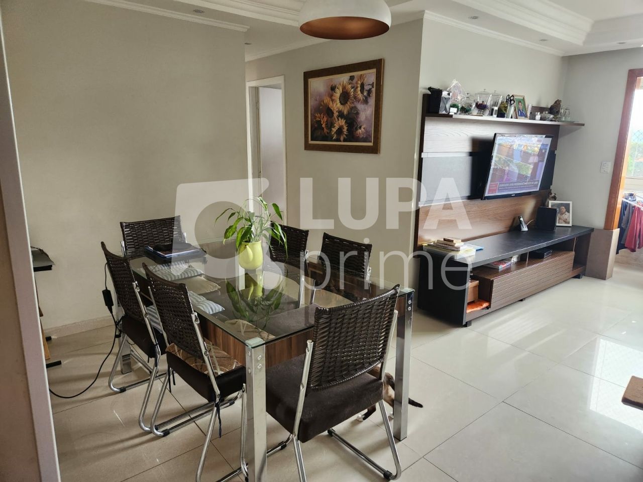 apartamento-venda-sao-paulo-vila-nova-cachoeirinha-2dormitorios-1vaga-64m2-LS42600