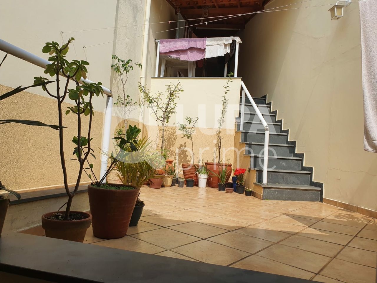 sobrado-venda-sao-paulo-vila-isolina-mazzei-4dormitorios-3suites-4vagas-154m2-LS42627