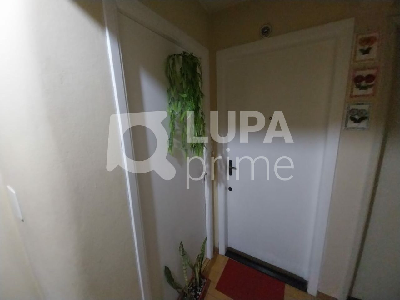 apartamento-venda-sao-paulo-vila-mazzei-2dormitorios-1vaga-56m2-LS42631