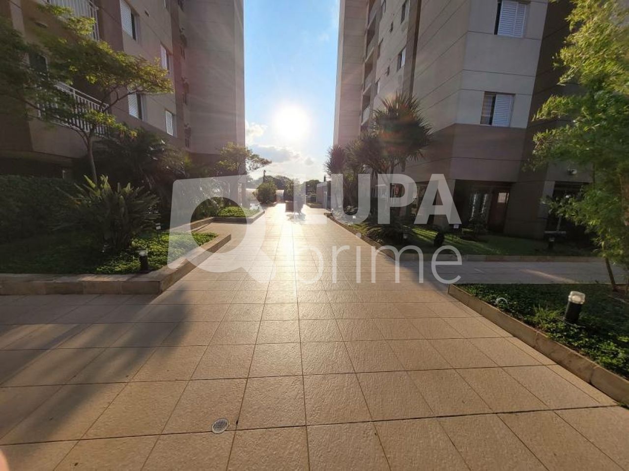 apartamento-venda-sao-paulo-parque-novo-mundo-3dormitorios-1suite-1vaga-65m2-LS42684