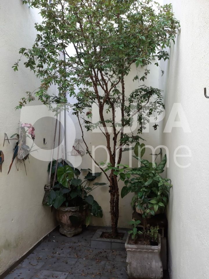 predio-venda-sao-paulo-lauzane-paulista-2dormitorios-1vaga-268m2-LS42691