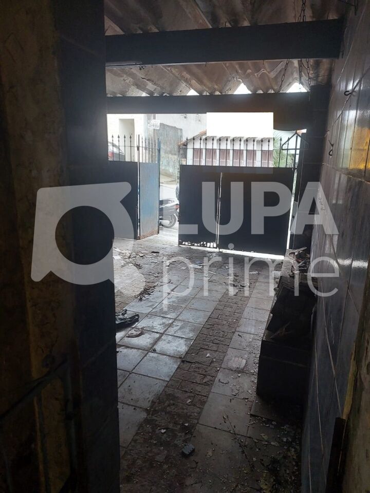 casa-terrea-venda-sao-paulo-vila-isolina-mazzei-4dormitorios-175m2-LS42696