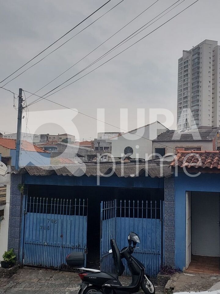 casa-terrea-venda-sao-paulo-vila-isolina-mazzei-4dormitorios-175m2-LS42696