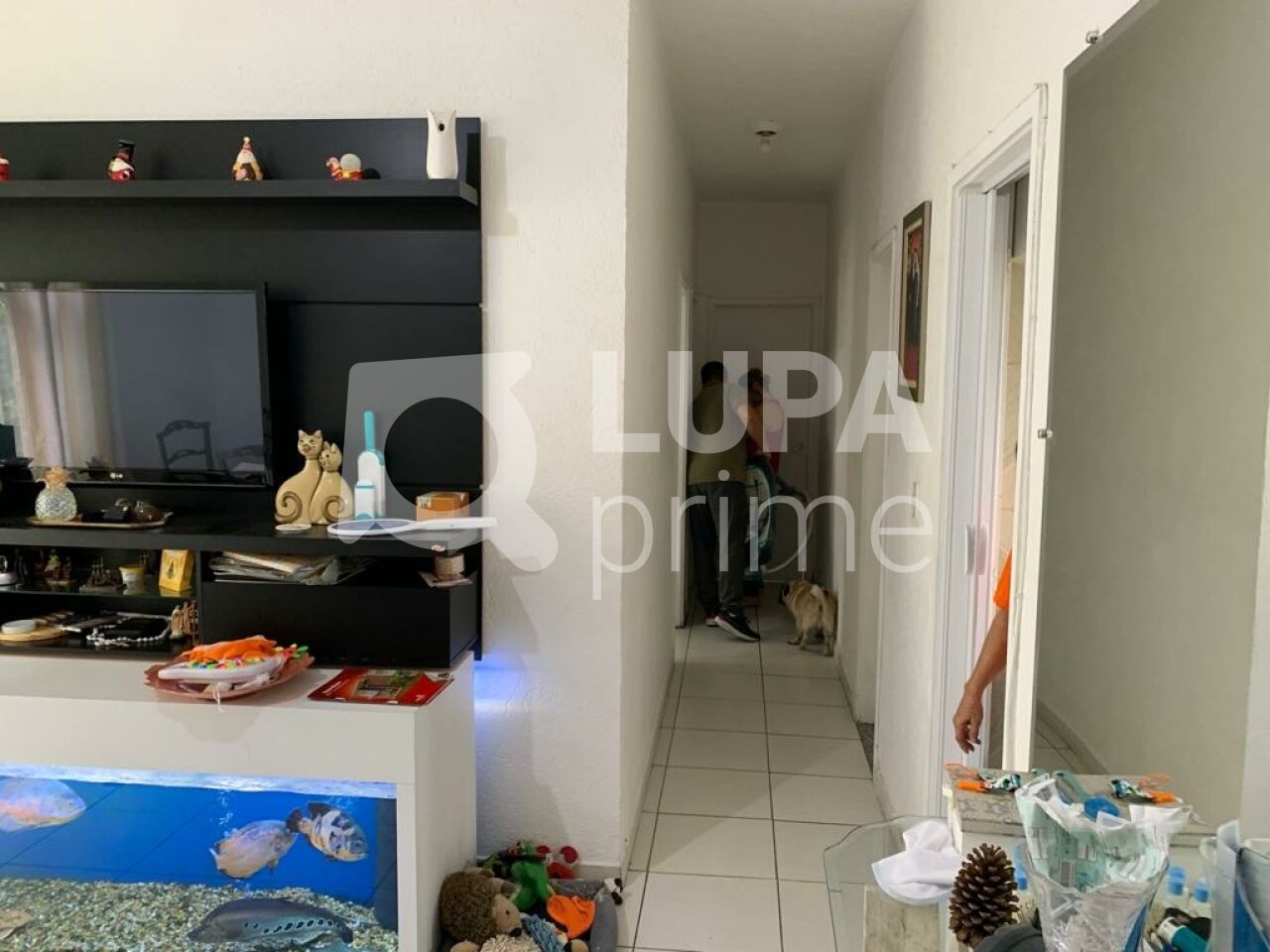 apartamento-venda-sao-paulo-parque-mandaqui-3dormitorios-1vaga-92m2-LS42716