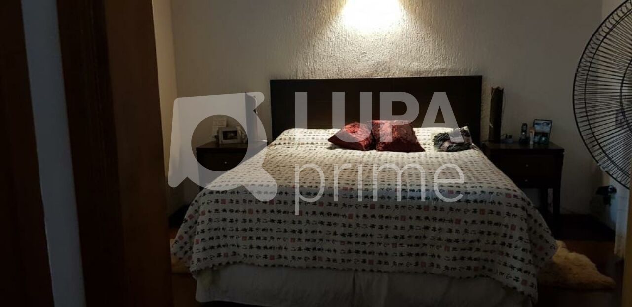 Casa, 3 quartos, 400 m² - Foto 18