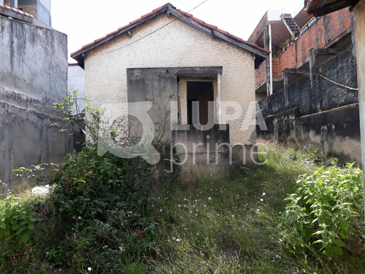 casa-terrea-venda-sao-paulo-vila-gustavo-2dormitorios-3vagas-95m2-LS42839