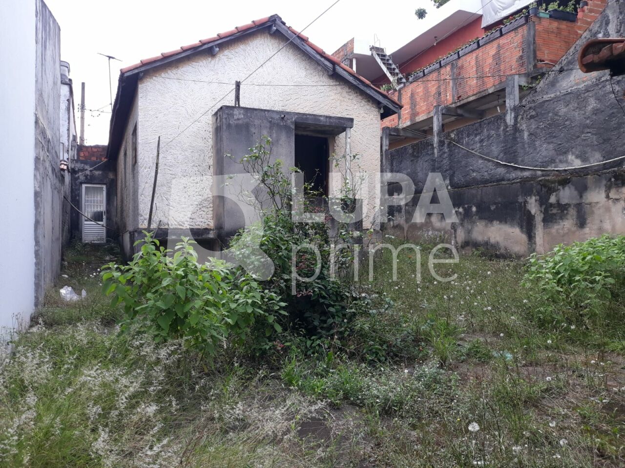 casa-terrea-venda-sao-paulo-vila-gustavo-2dormitorios-3vagas-95m2-LS42839