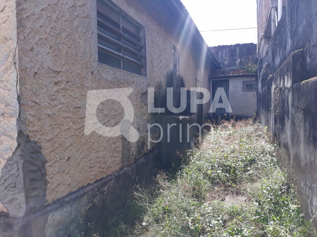 casa-terrea-venda-sao-paulo-vila-gustavo-2dormitorios-3vagas-95m2-LS42839