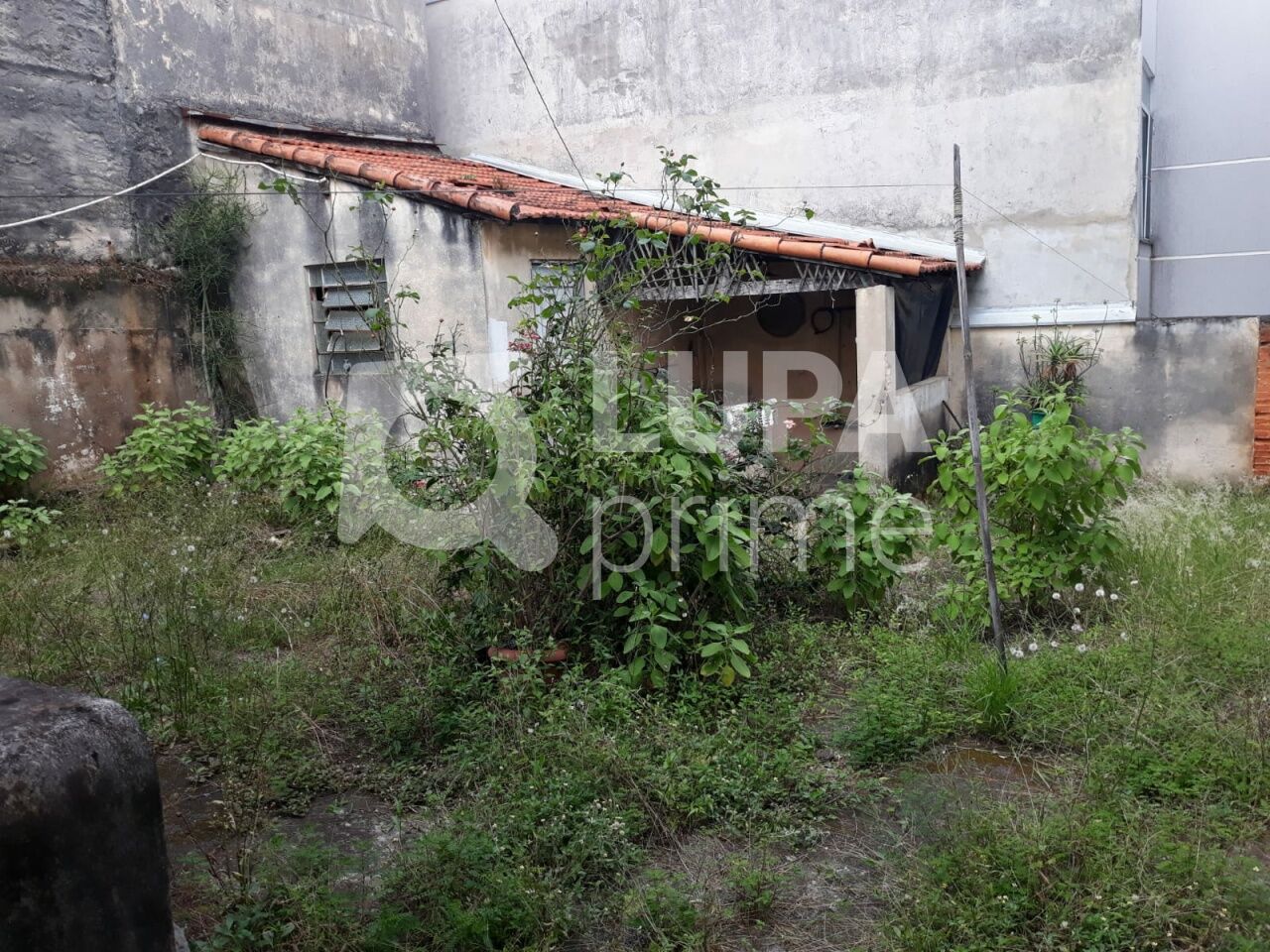 casa-terrea-venda-sao-paulo-vila-gustavo-2dormitorios-3vagas-95m2-LS42839