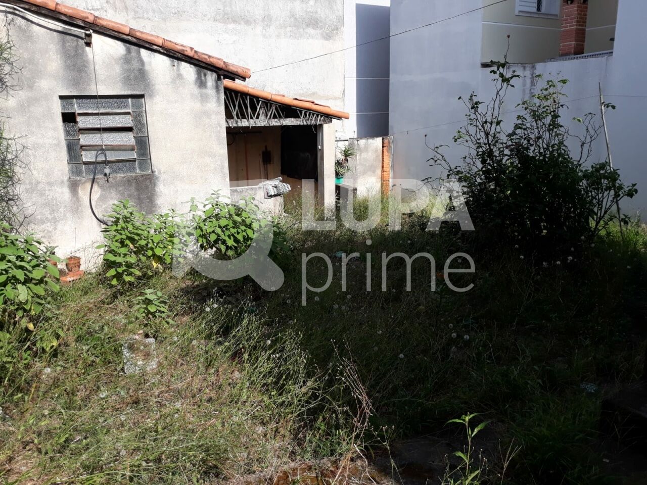 casa-terrea-venda-sao-paulo-vila-gustavo-2dormitorios-3vagas-95m2-LS42839