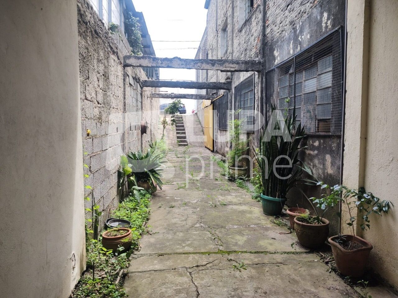 terreno-venda-sao-paulo-vila-mazzei-360m2-LS42893