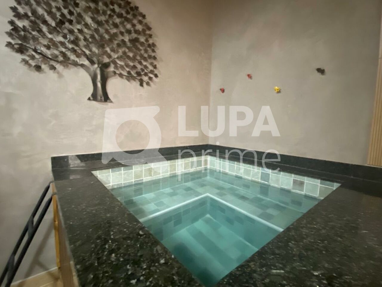 sobrado-venda-sao-paulo-parada-inglesa-3dormitorios-3suites-4vagas-205m2-LS43101