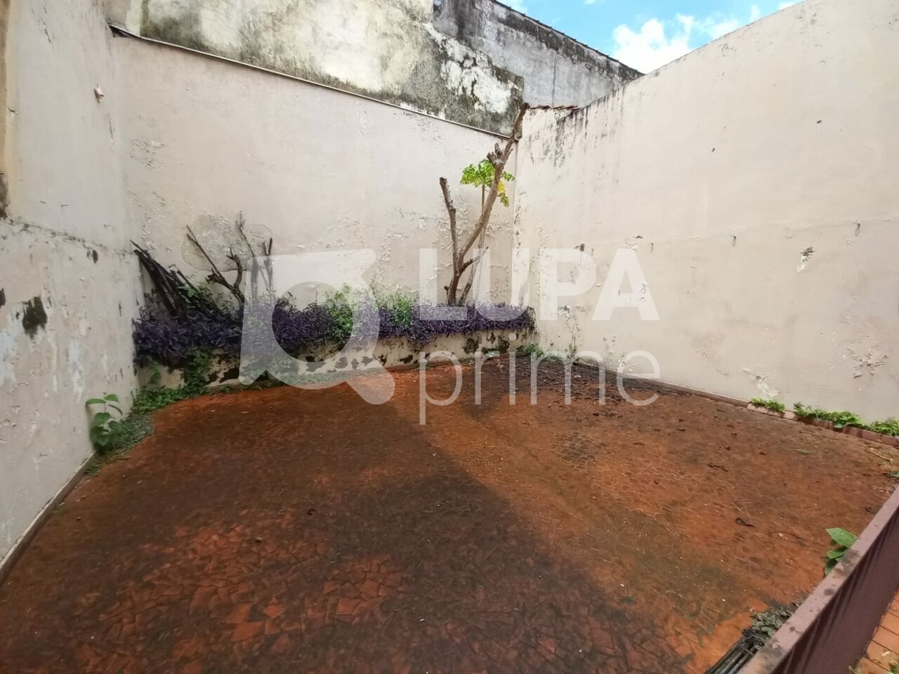 casa-terrea-locacao-sao-paulo-jardim-sao-paulo-4dormitorios-2suites-4vagas-330m2-LS43123