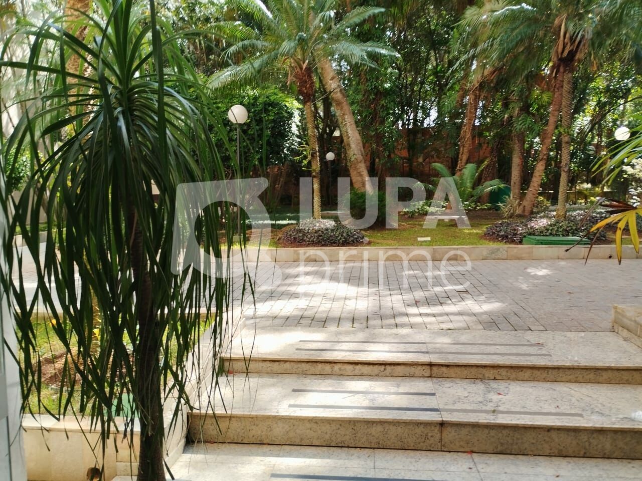 apartamento-venda-sao-paulo-barro-branco-3dormitorios-1suite-1vaga-80m2-LS43168