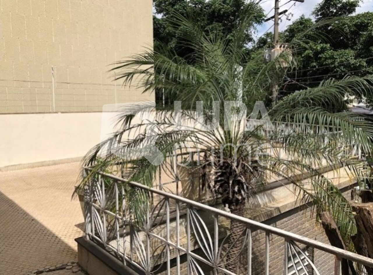 conj-comercial-venda-sao-paulo-agua-fria-2vagas-240m2-LS43377