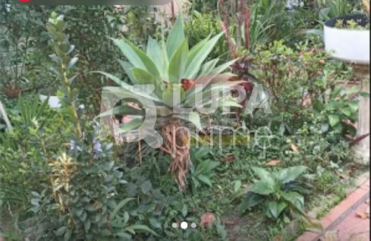 terreno-venda-sao-paulo-jardim-sao-paulo-252m2-LS43383