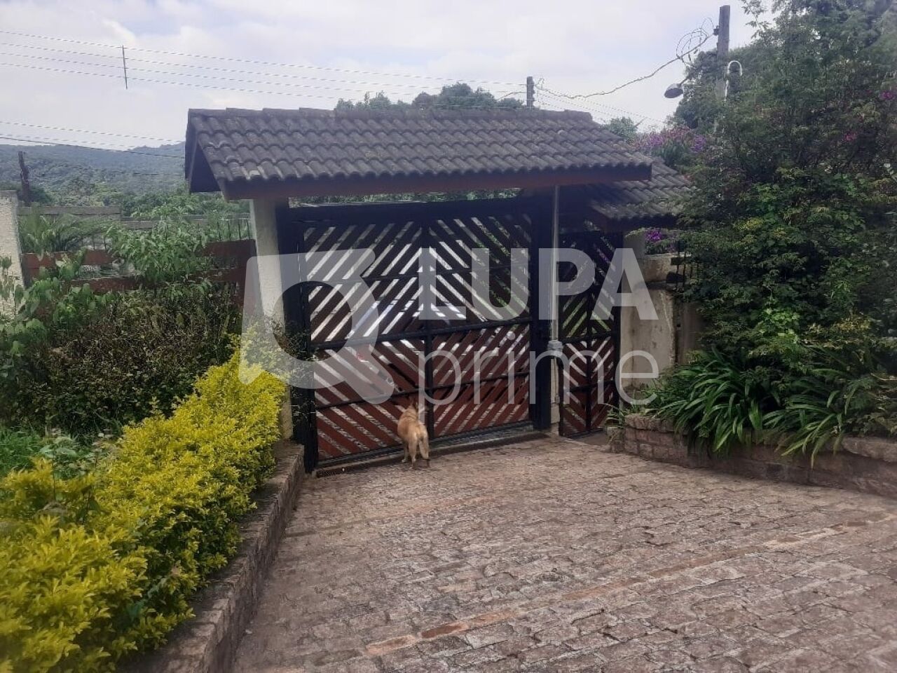 Casa, 4 quartos, 400 m² - Foto 1