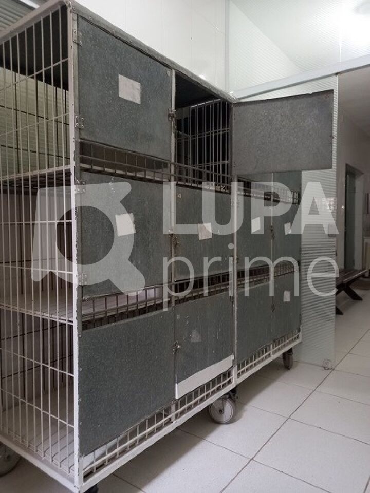 predio-locacao-sao-paulo-santana-170m2-LS43490