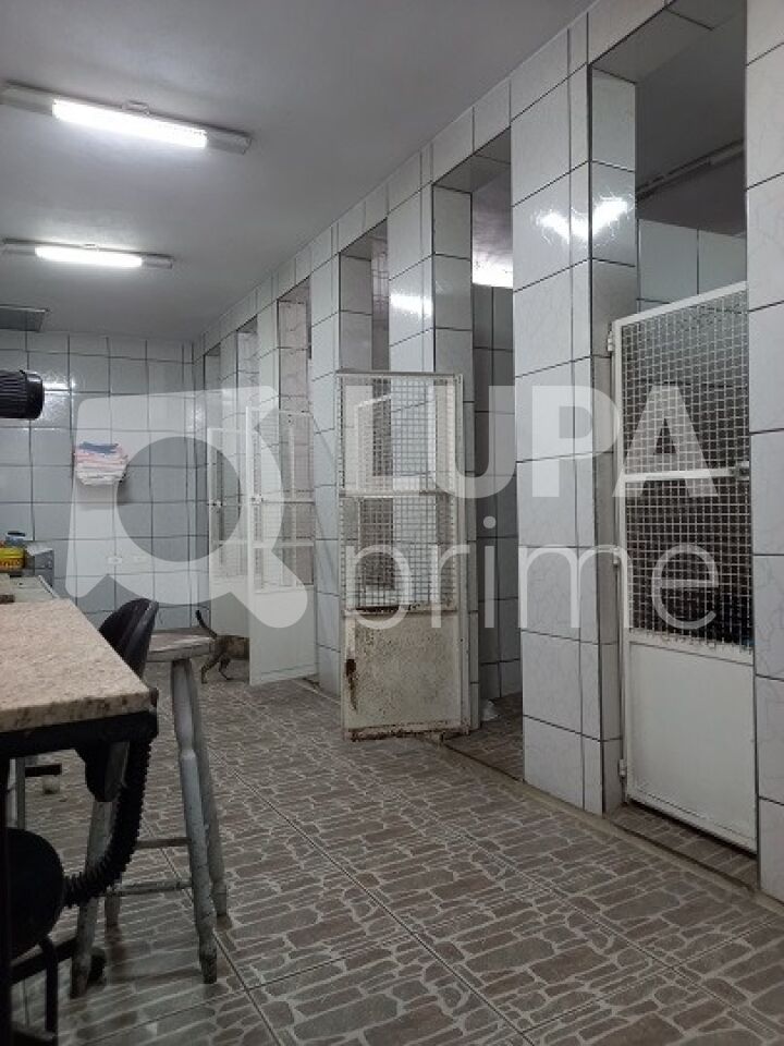 predio-locacao-sao-paulo-santana-170m2-LS43490