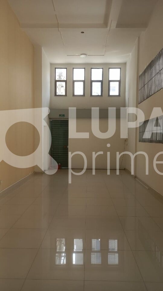 predio-locacao-sao-paulo-santana-3vagas-700m2-LS43497