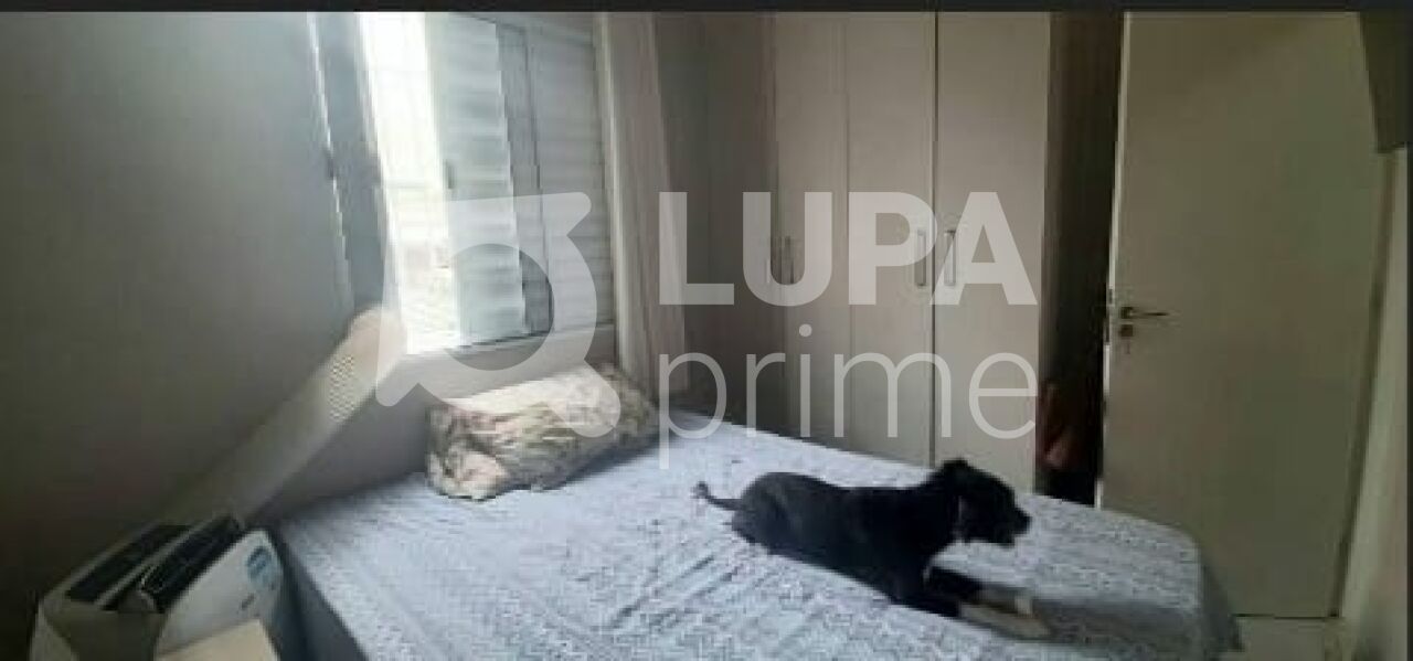 apartamento-venda-sao-paulo-vila-mazzei-2dormitorios-34m2-LS43502