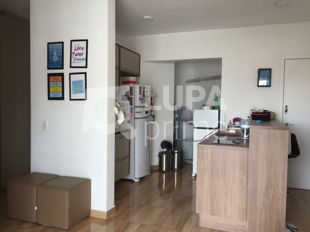 apartamento-locacao-sao-paulo-santana-1dormitorio-1vaga-40m2-LS43563