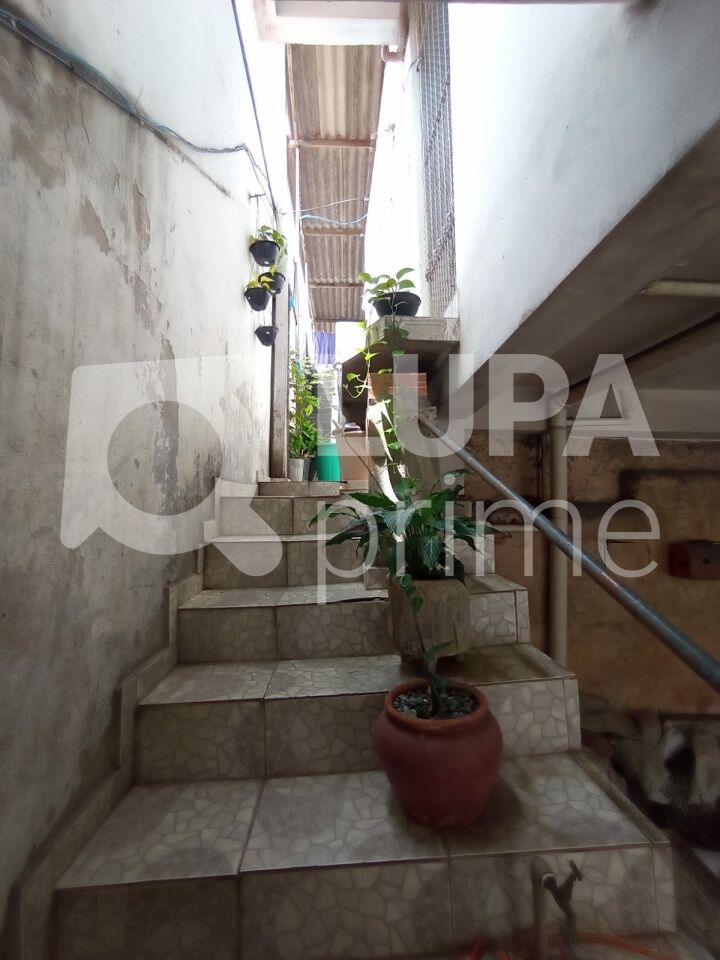 sobrado-venda-sao-paulo-vila-ede-2dormitorios-201m2-LS43564