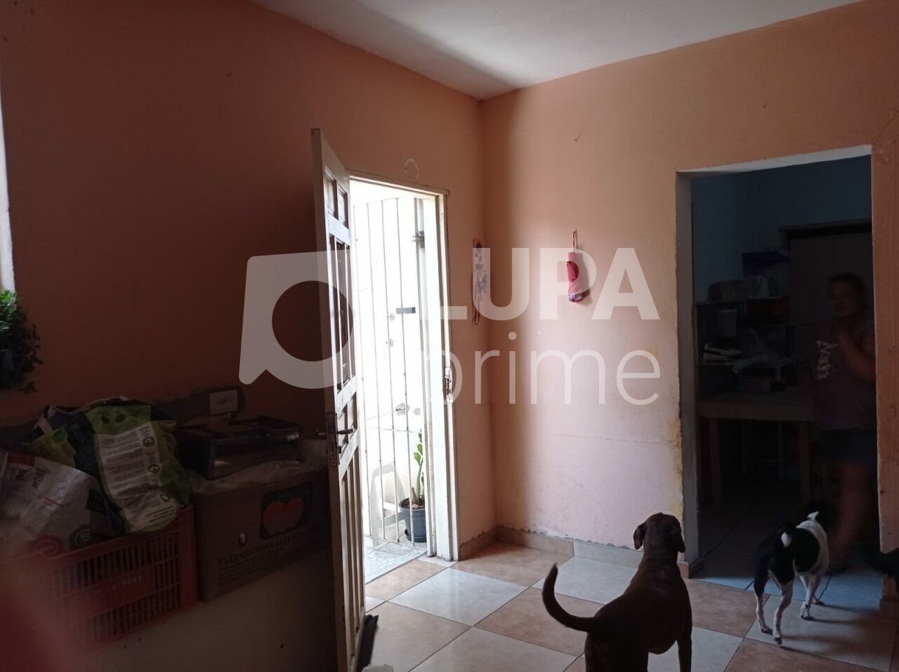 sobrado-venda-sao-paulo-vila-ede-2dormitorios-201m2-LS43564