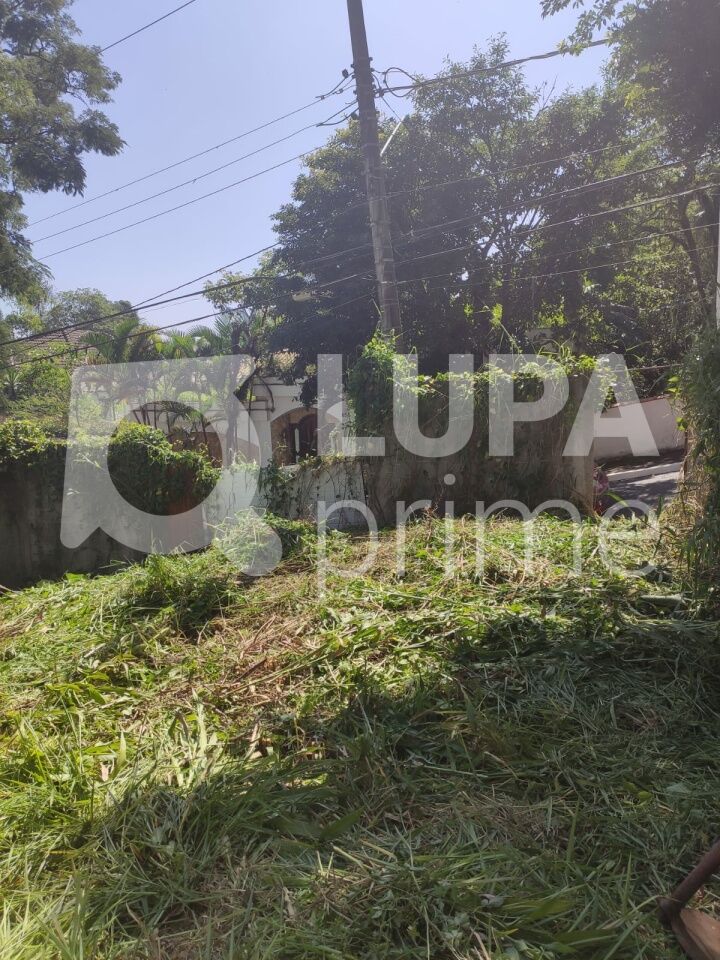 terreno-venda-sao-paulo-vila-albertina-270m2-LS43568
