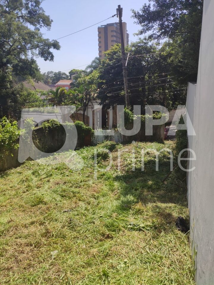 terreno-venda-sao-paulo-vila-albertina-270m2-LS43568