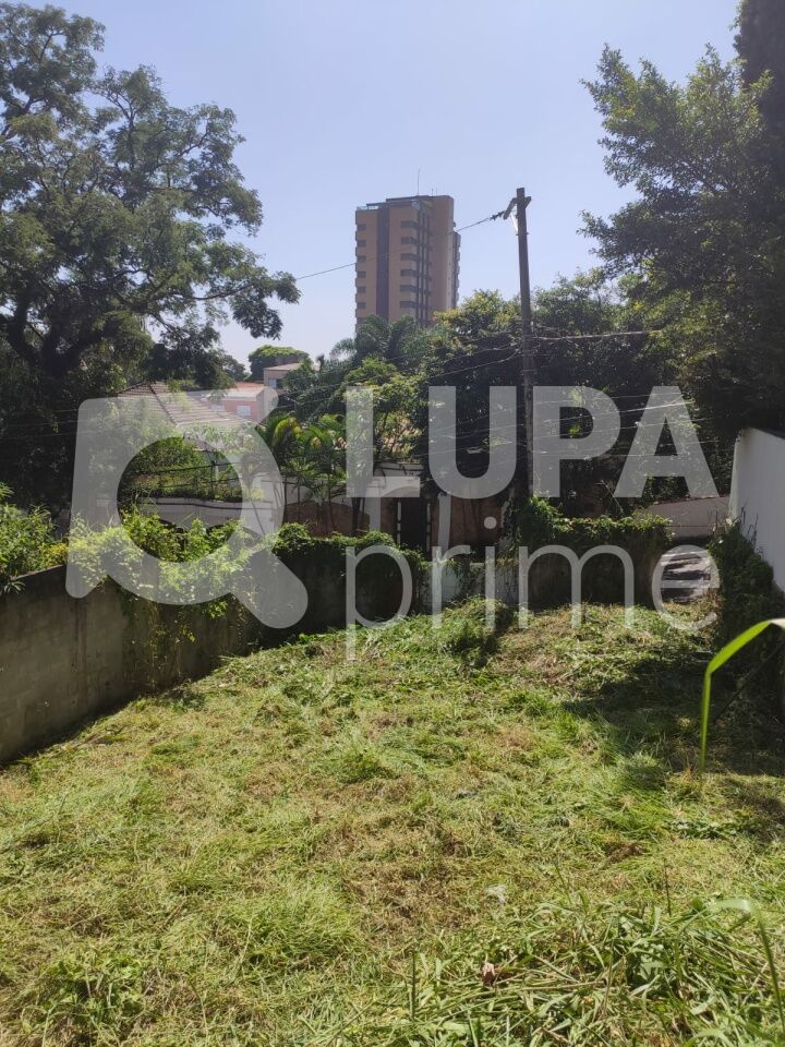 terreno-venda-sao-paulo-vila-albertina-270m2-LS43569
