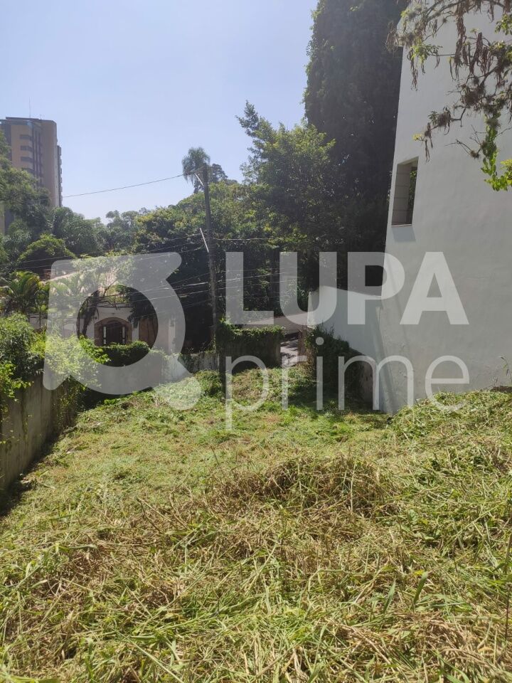 terreno-venda-sao-paulo-vila-albertina-270m2-LS43569