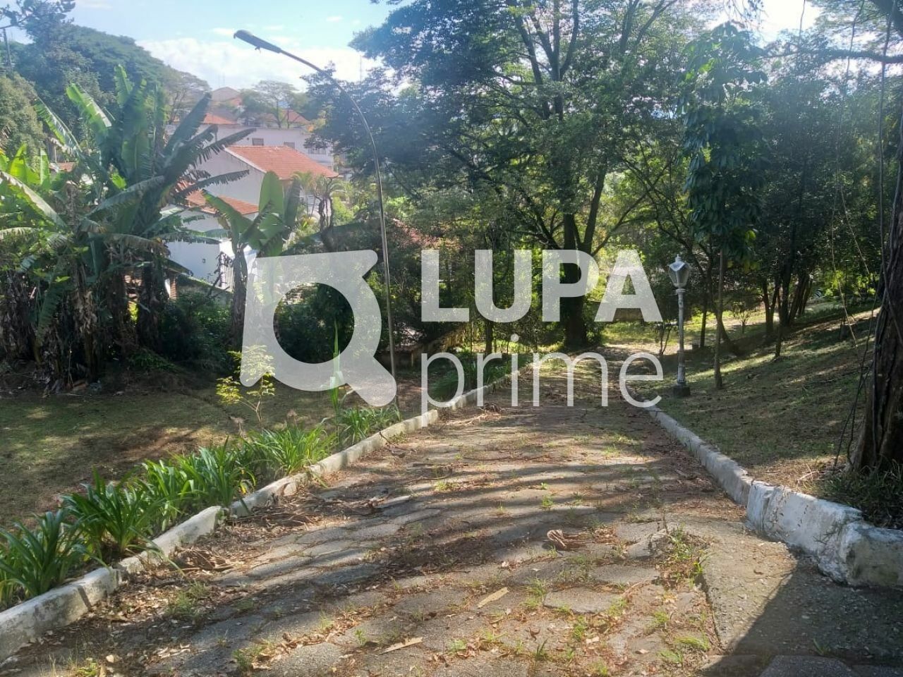 terreno-venda-sao-paulo-jardim-virginia-bianca-394m2-LS43575