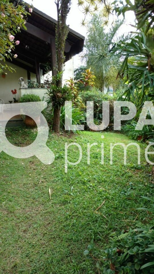 terreno-venda-sao-paulo-jardim-virginia-bianca-394m2-LS43575