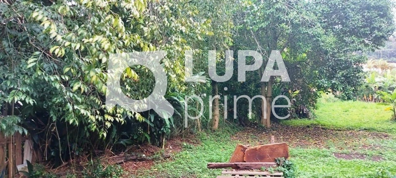 terreno-venda-sao-paulo-horto-florestal-1739m2-LS43597