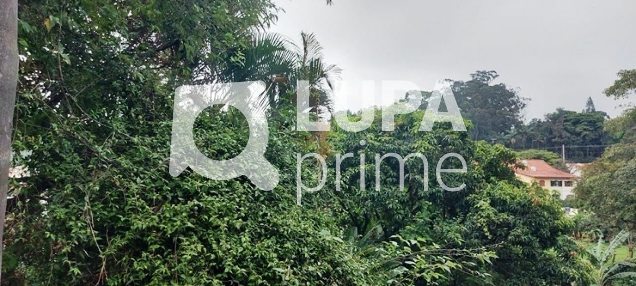 terreno-venda-sao-paulo-horto-florestal-1739m2-LS43597