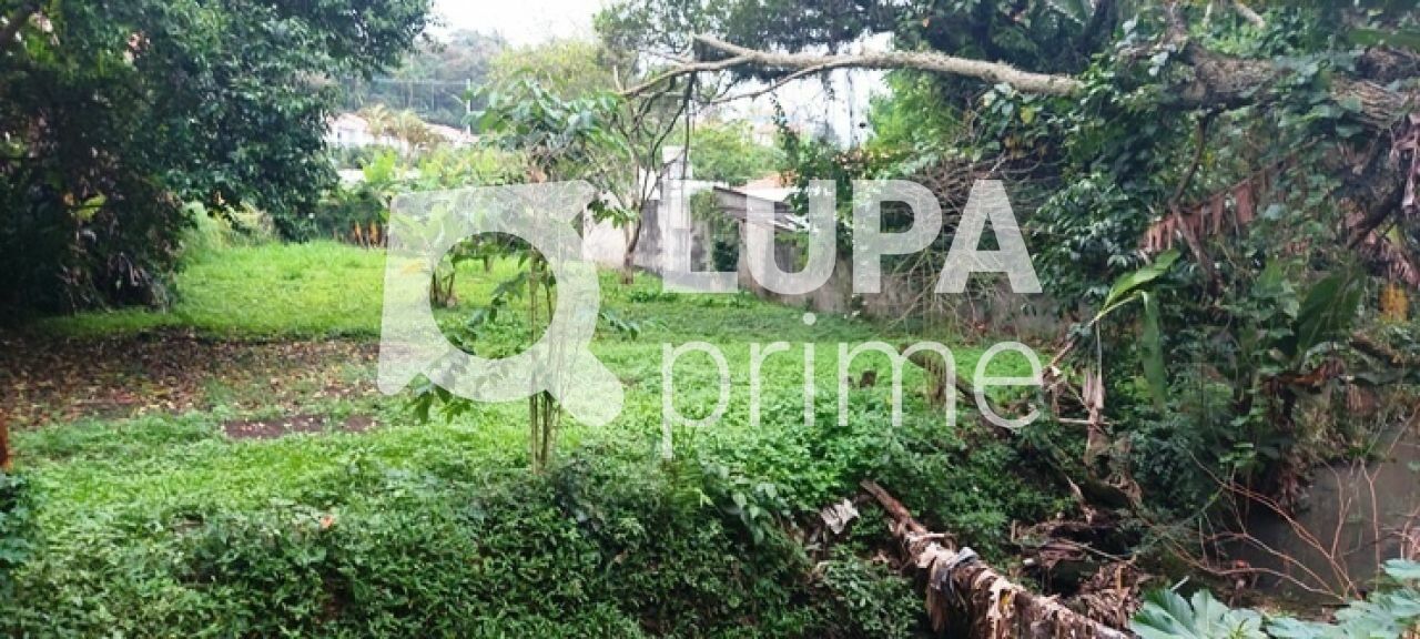 terreno-venda-sao-paulo-horto-florestal-1739m2-LS43597