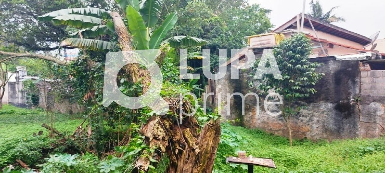 terreno-venda-sao-paulo-horto-florestal-1739m2-LS43597