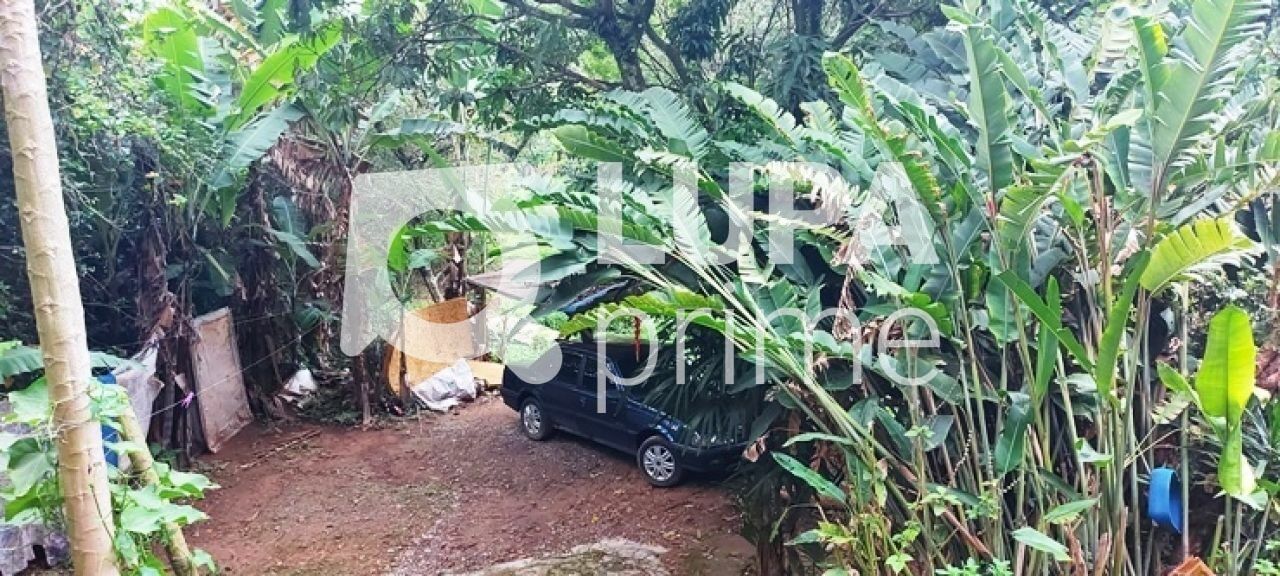 terreno-venda-sao-paulo-horto-florestal-1739m2-LS43597